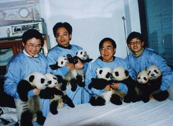 staff